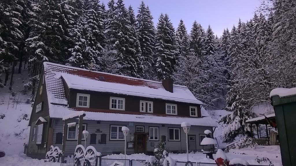 Waldpension Harzer Waldwinkel Bad Grund Exterior photo