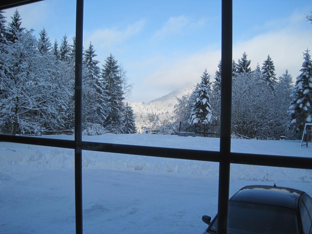 Waldpension Harzer Waldwinkel Bad Grund Exterior photo