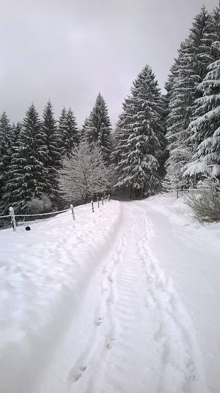 Waldpension Harzer Waldwinkel Bad Grund Exterior photo